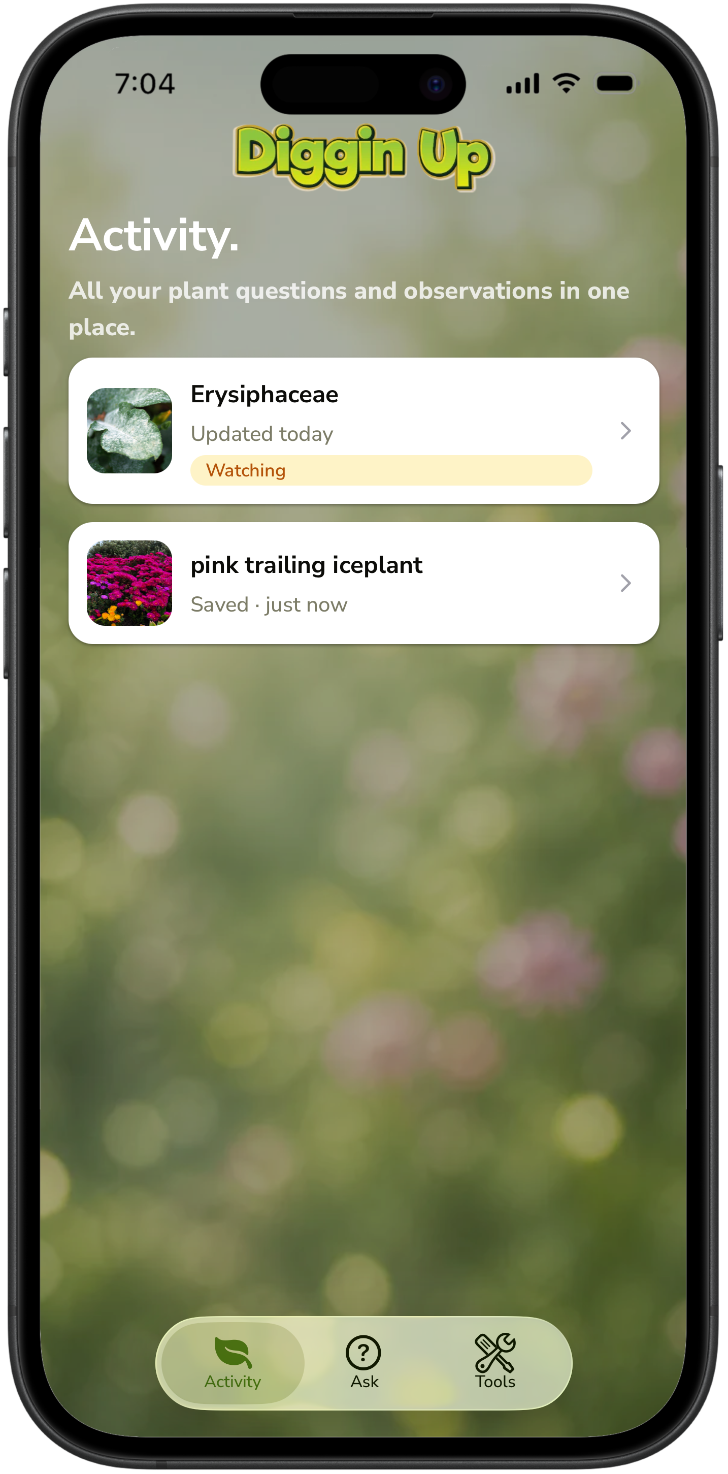 Diggin Up Activity list of plant questions and diagnoses